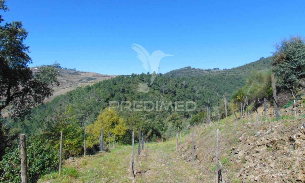Terreno para Venda em Torgueda Foto 22