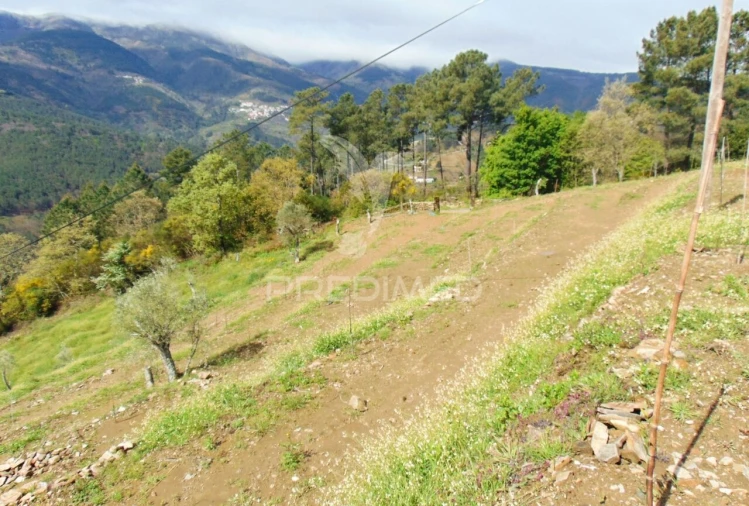 Terreno para Venda em Torgueda Foto 35