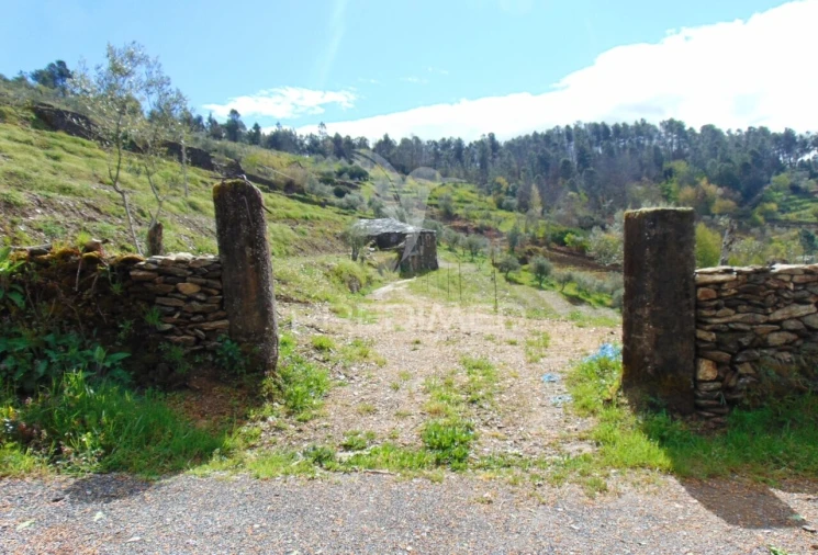 Terreno para Venda em Torgueda Foto 4