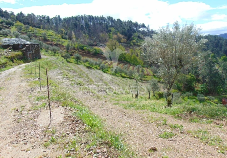 Terreno para Venda em Torgueda Foto 7
