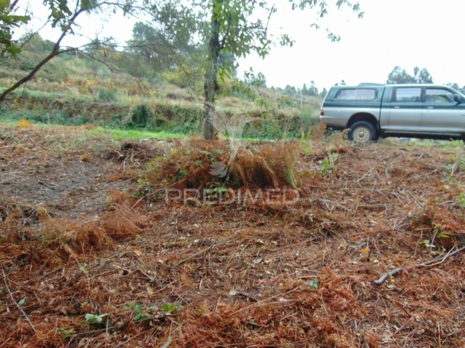Terreno para Venda em Torgueda Foto 39