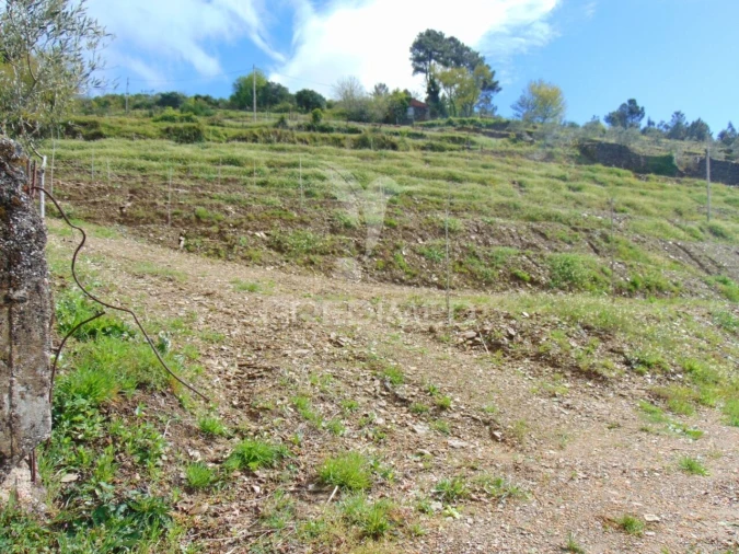 Terreno para Venda em Torgueda Foto 5