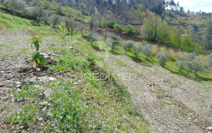 Terreno para Venda em Torgueda Foto 31