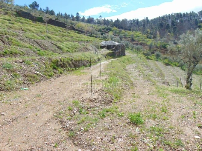 Terreno para Venda em Torgueda Foto 26