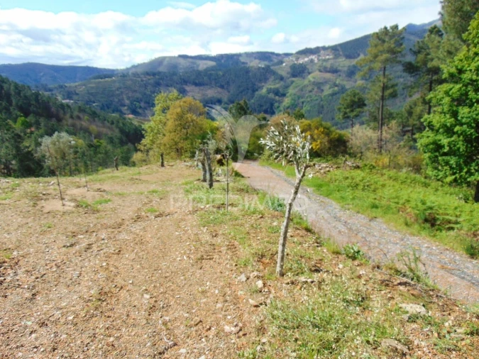 Terreno para Venda em Torgueda Foto 32