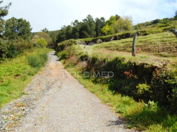 Terreno para Venda em Torgueda Foto 40