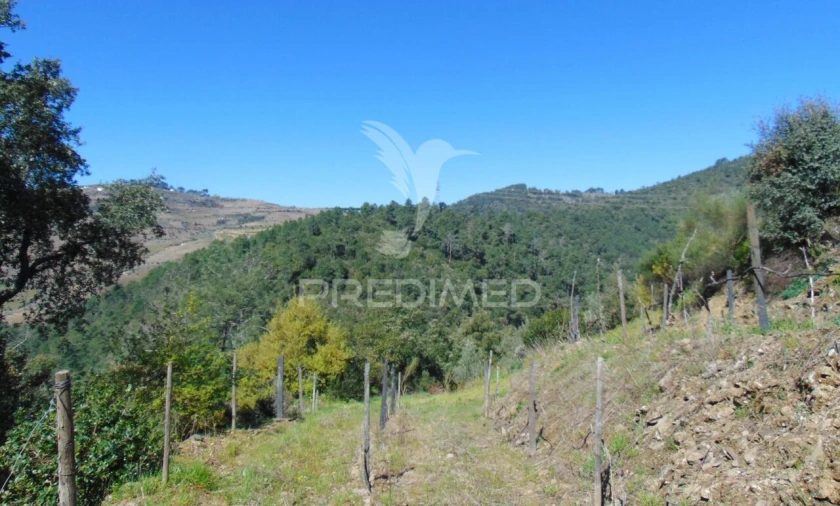 Terreno para Venda em Torgueda Foto 22