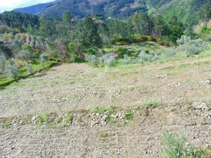 Terreno para Venda em Torgueda Foto 30
