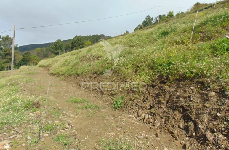 Terreno para Venda em Torgueda Foto 34