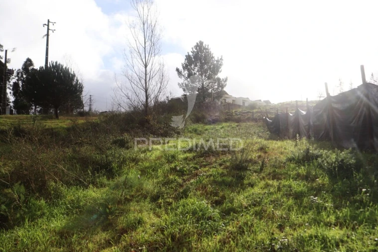 Terreno para Venda em Pousa Foto 29