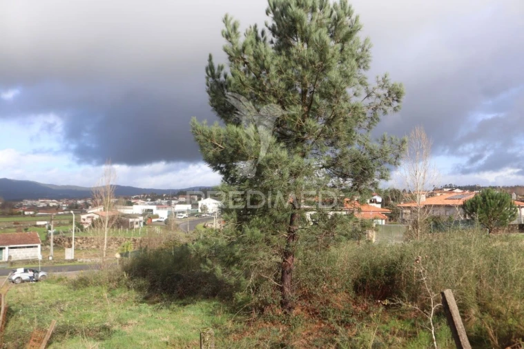 Terreno para Venda em Pousa Foto 27