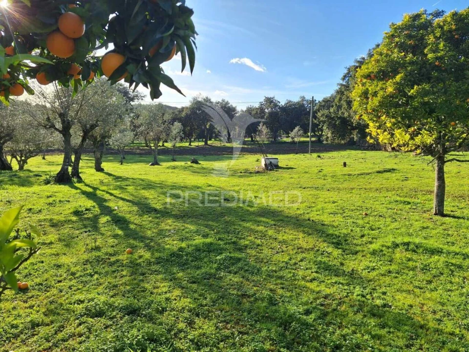 Quinta T3 para Venda em Alegrete Foto 18