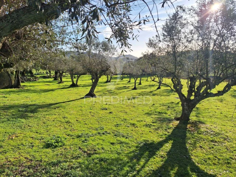 Quinta T3 para Venda em Alegrete Foto 1