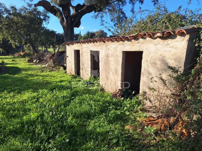 Quinta T3 para Venda em Alegrete Foto 16