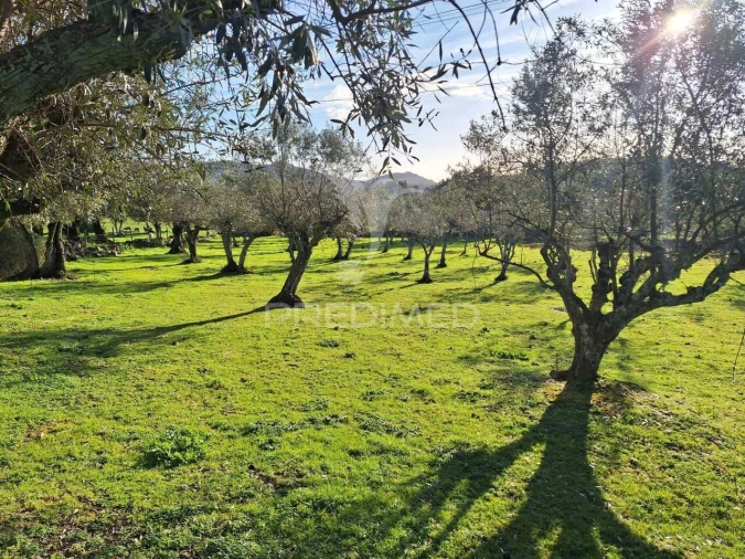 Quinta T3 para Venda em Alegrete Foto 1