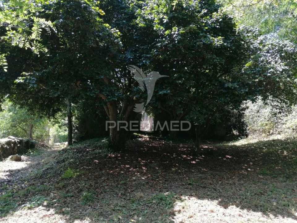 Quinta T0 para Venda em Penhalonga e Paços de Gaiolo Foto 24