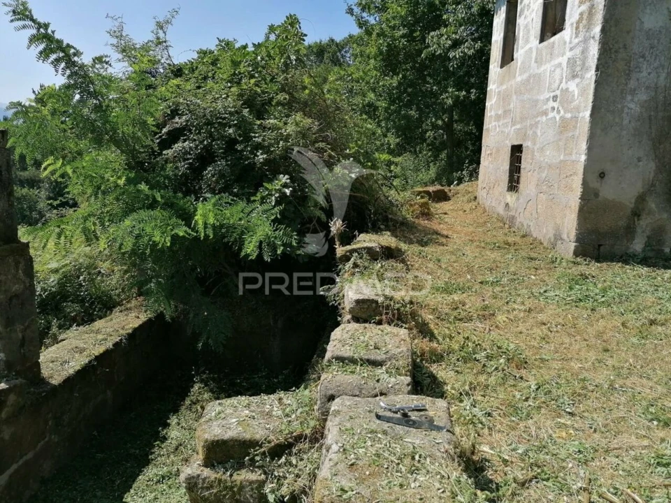 Quinta T0 para Venda em Penhalonga e Paços de Gaiolo Foto 15