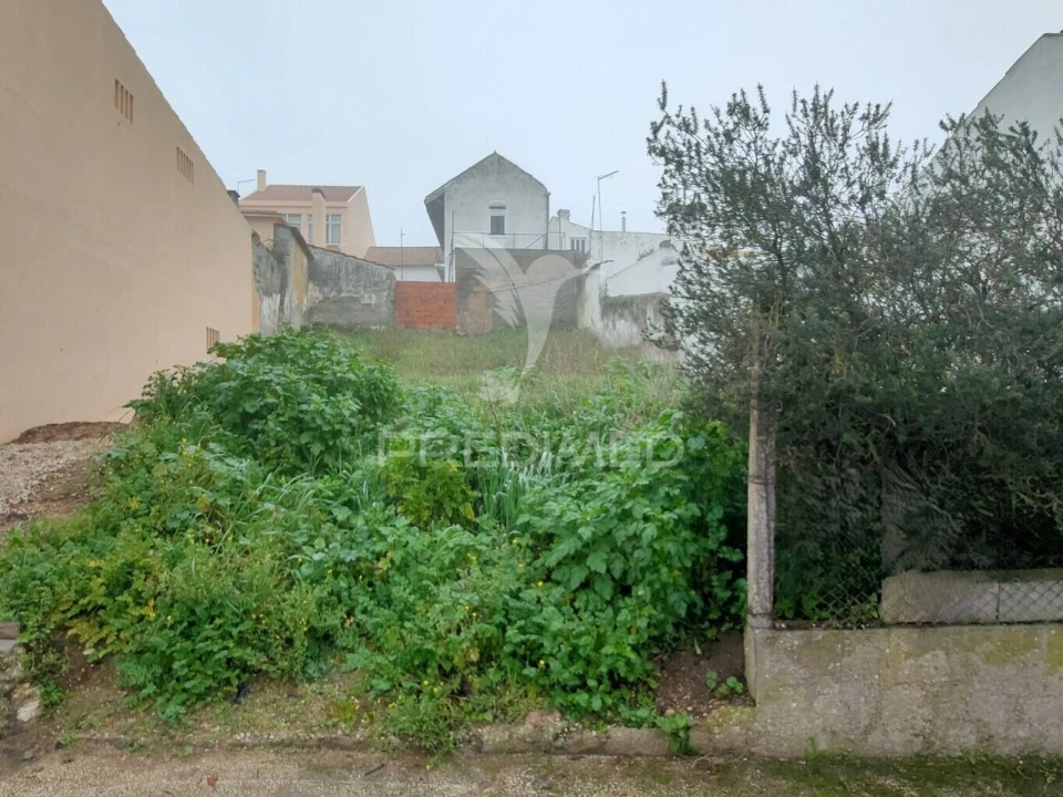 Terreno para Venda em Alcanhões Foto 4