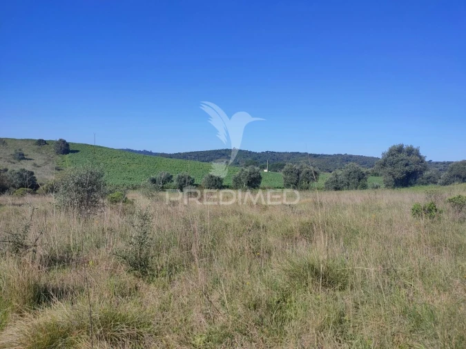 Terreno para Venda em Monsanto Foto 6