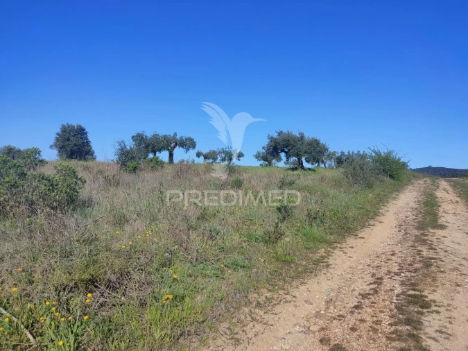 Terreno para Venda em Monsanto Foto 1