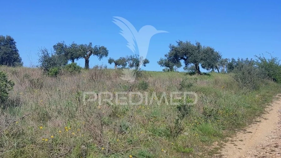 Terreno para Venda em Monsanto