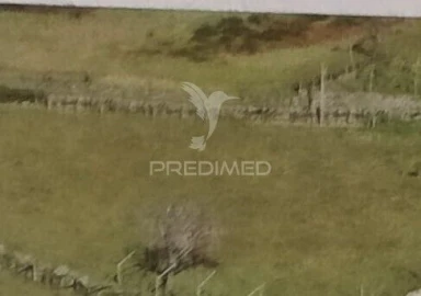 Terreno para Venda em São Cipriano