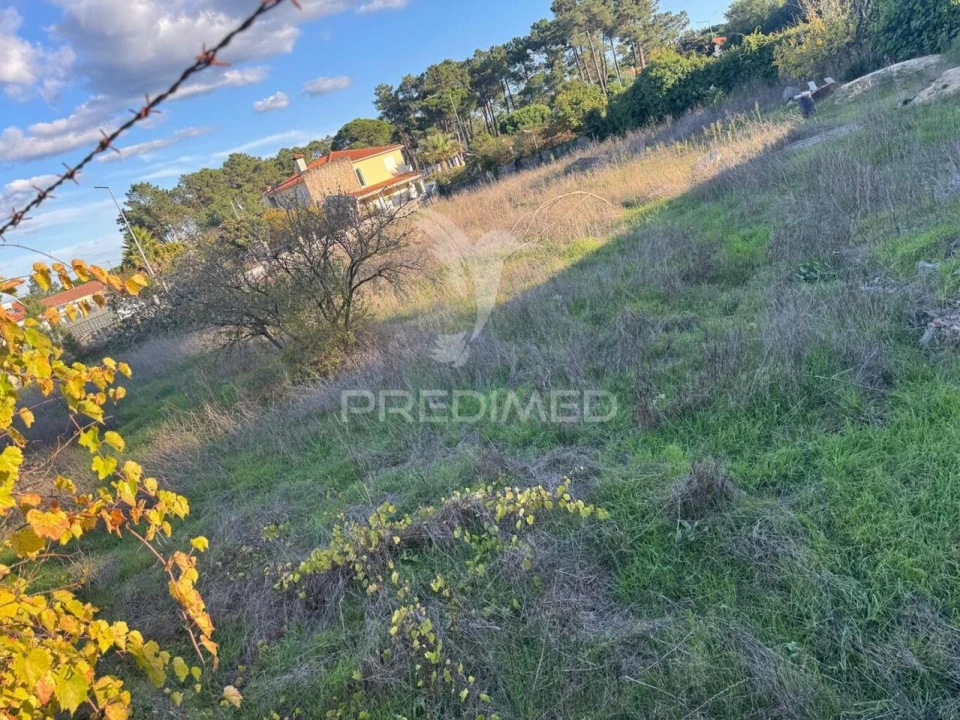Terreno para Venda em Sesimbra (Castelo) Foto 5