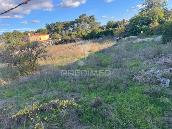Terreno para Venda em Sesimbra (Castelo) Foto 6