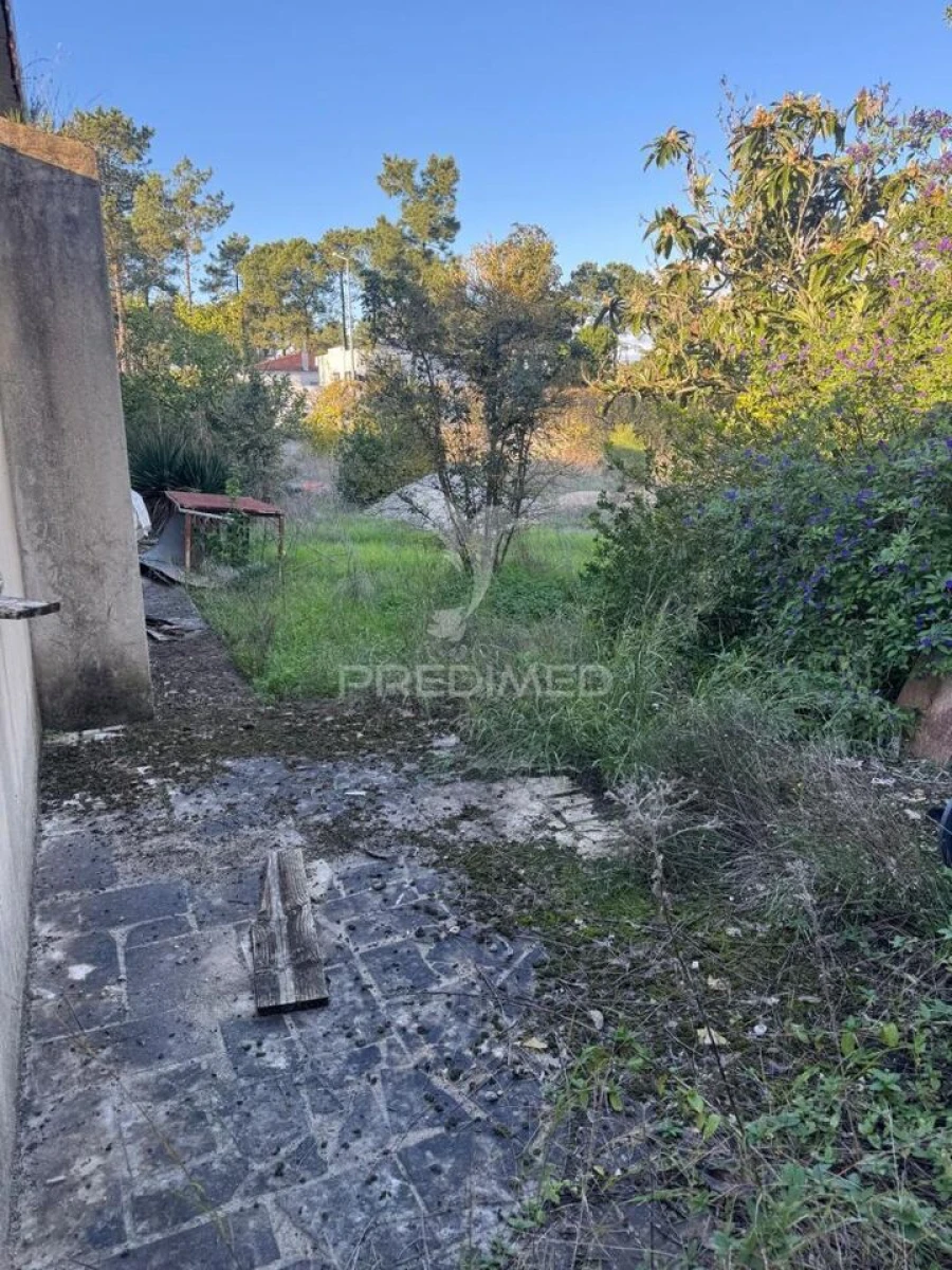 Terreno para Venda em Sesimbra (Castelo) Foto 8