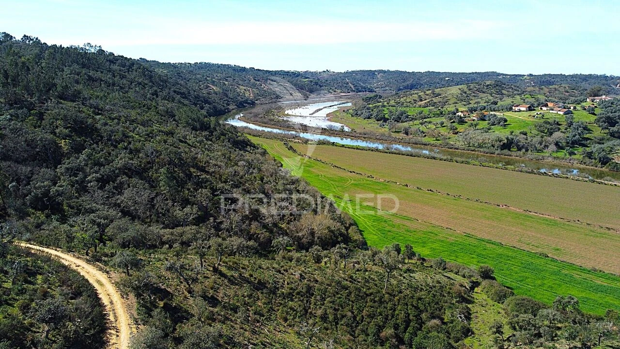 Quinta T3 para Venda em São Salvador e Santa Maria Foto 2