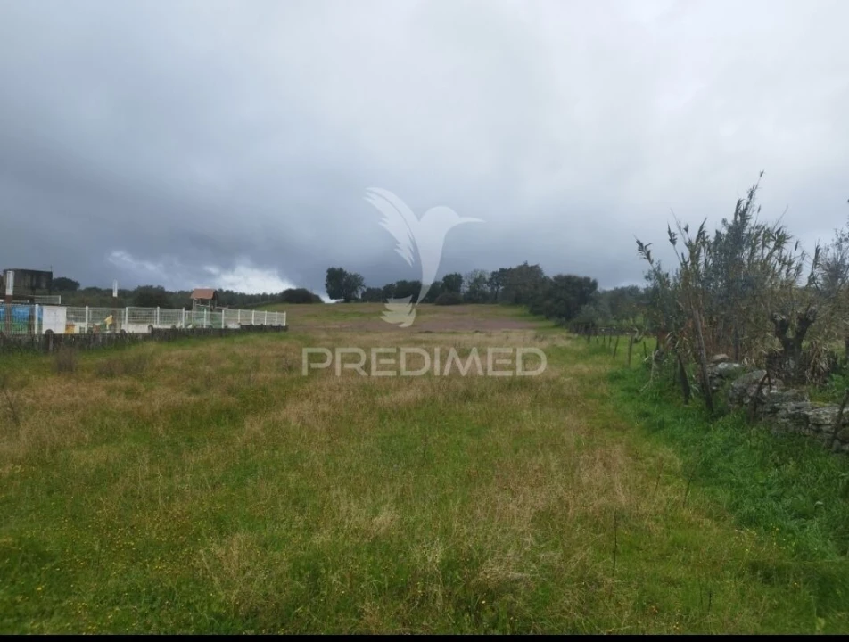 Terreno para Venda em Urra Foto 2