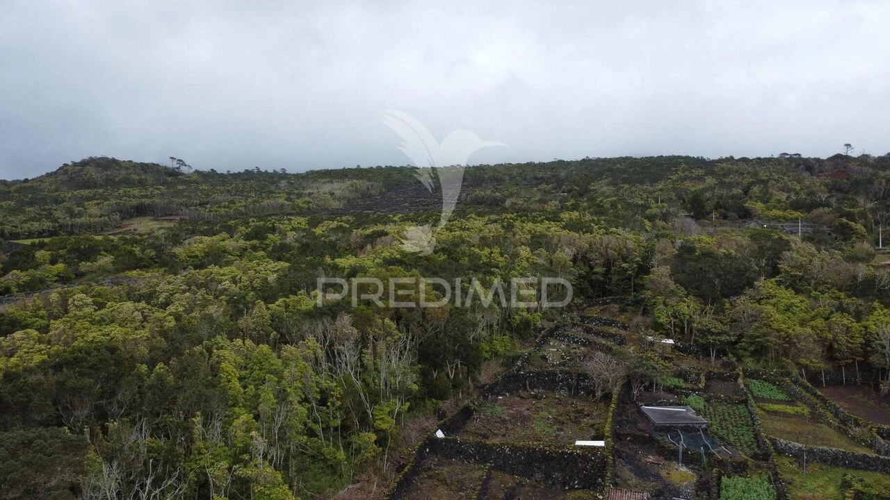 Terreno para Venda em Candelaria Foto 3