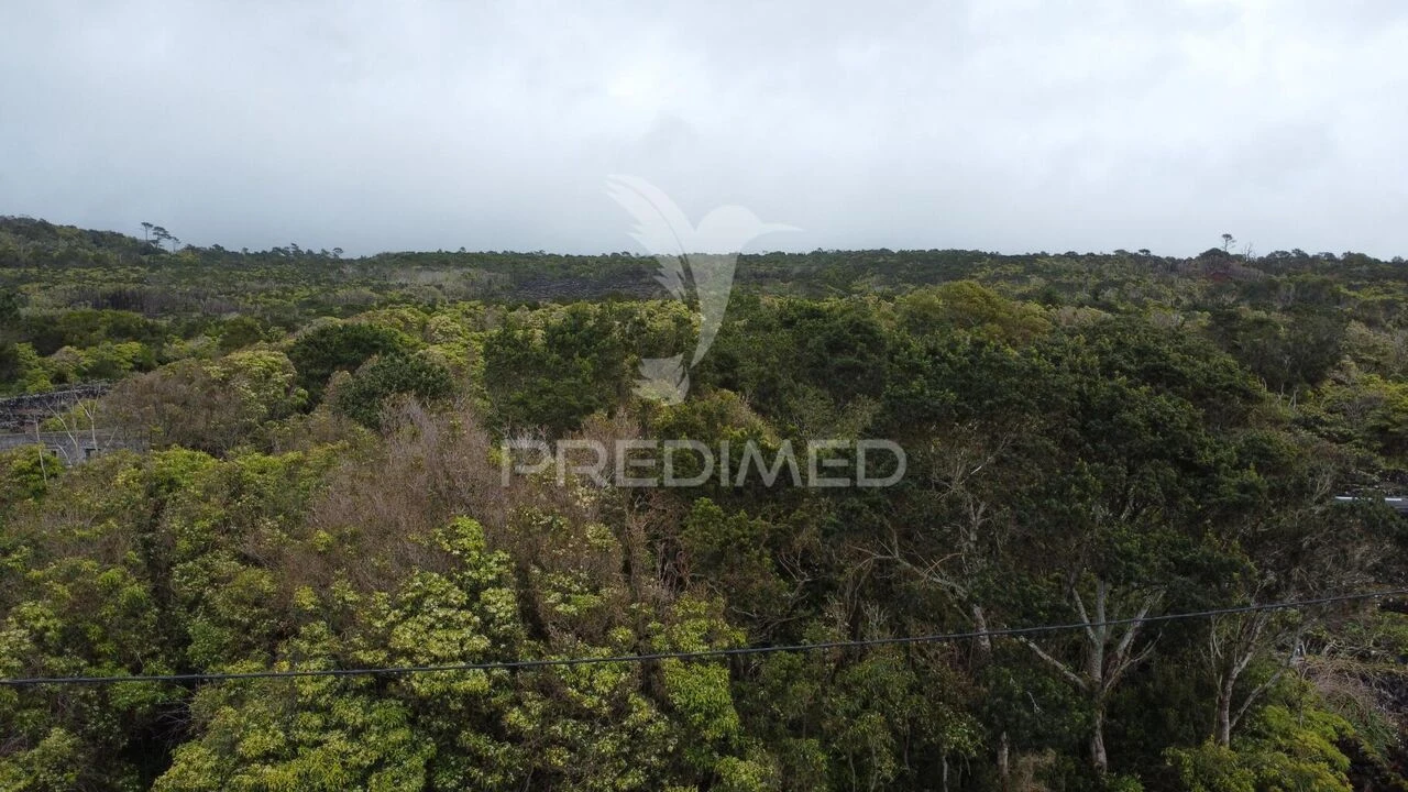 Terreno para Venda em Candelaria Foto 2