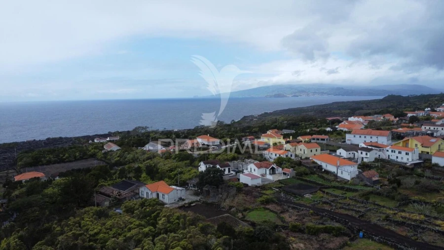 Terreno para Venda em Candelaria Foto 5