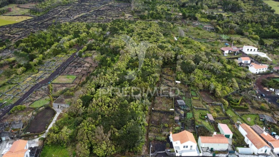 Terreno para Venda em Candelaria Foto 1