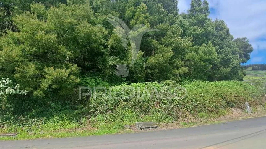 Terreno para Venda em Terra Chã