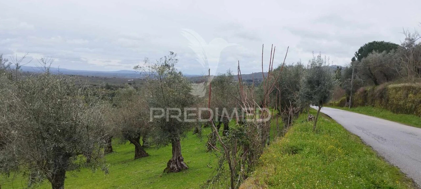 Terreno para Venda em Santa Maria da Devesa Foto 4