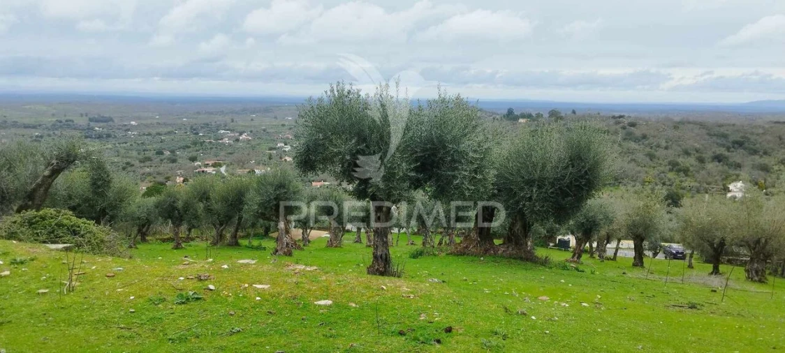 Terreno para Venda em Santa Maria da Devesa Foto 6