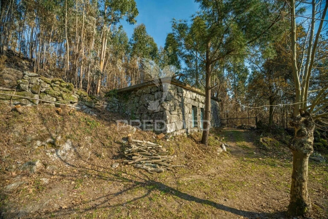 Terreno para Venda em Valdosende Foto 10