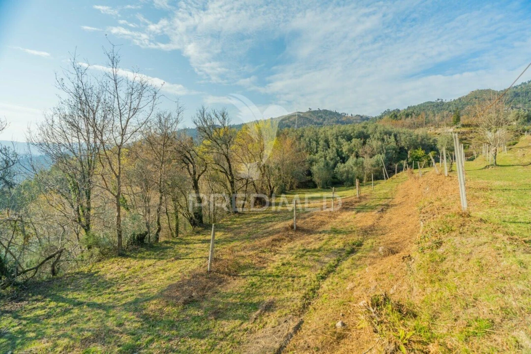 Terreno para Venda em Valdosende Foto 16