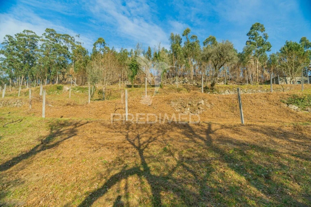 Terreno para Venda em Valdosende Foto 19