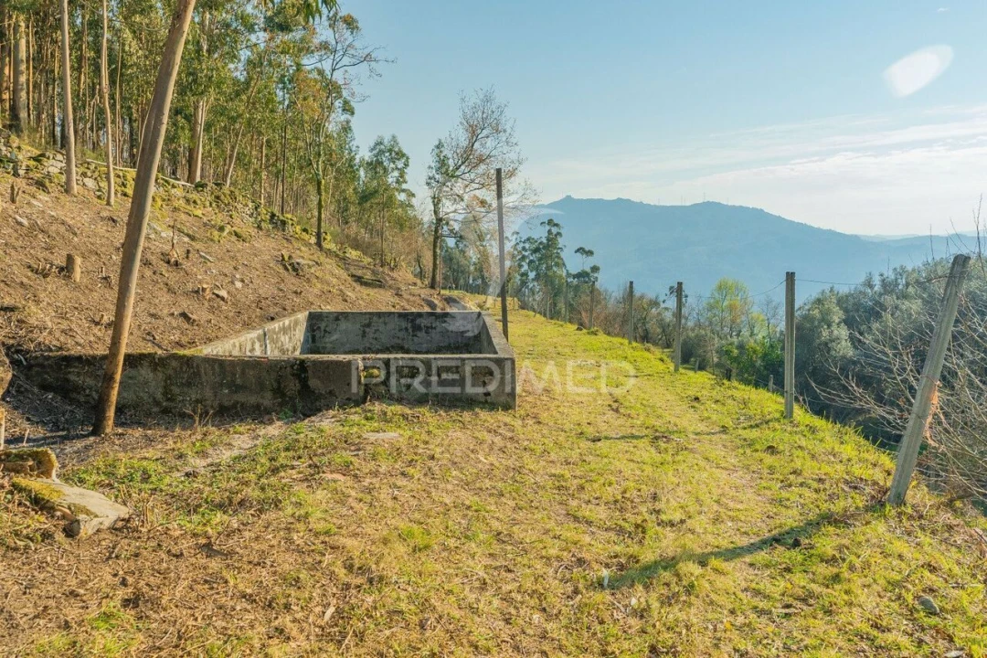Terreno para Venda em Valdosende Foto 11