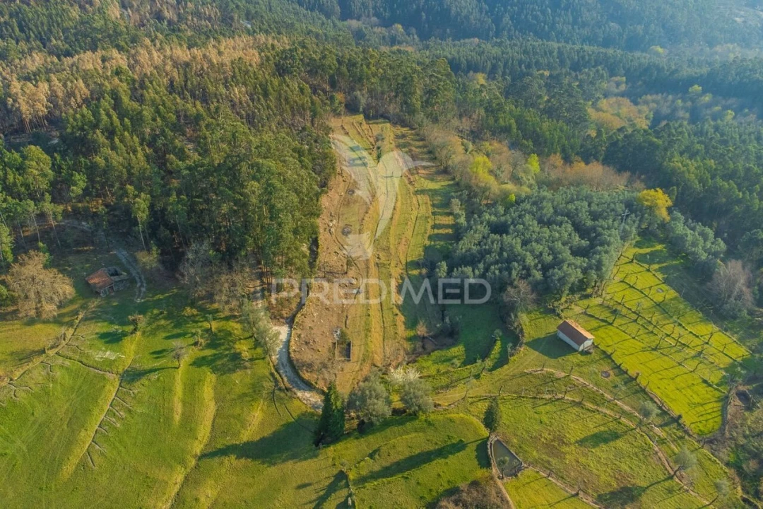 Terreno para Venda em Valdosende Foto 23