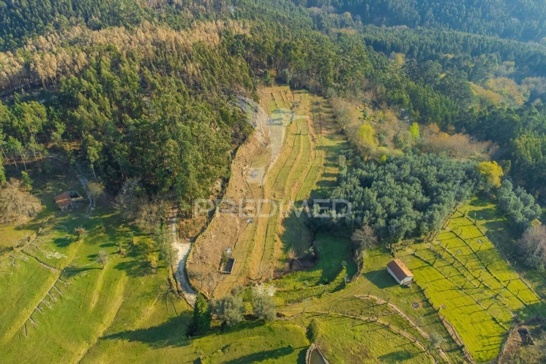 Terreno para Venda em Valdosende Foto 6