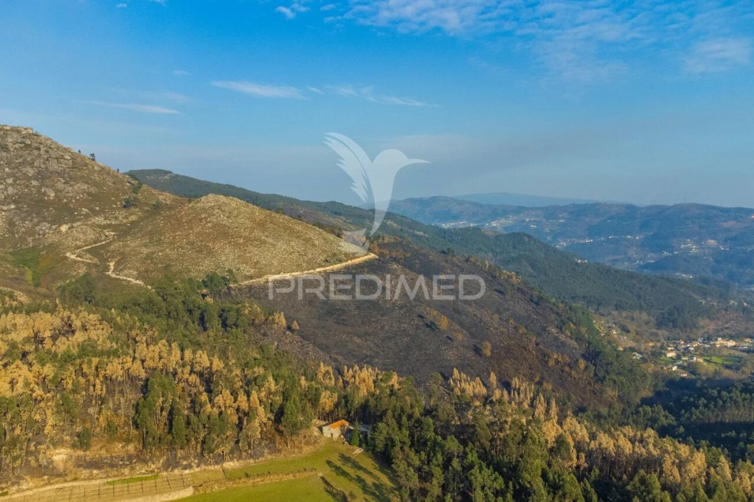 Terreno para Venda em Valdosende Foto 22