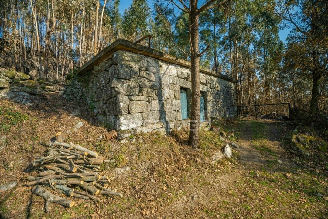 Terreno para Venda em Valdosende Foto 1