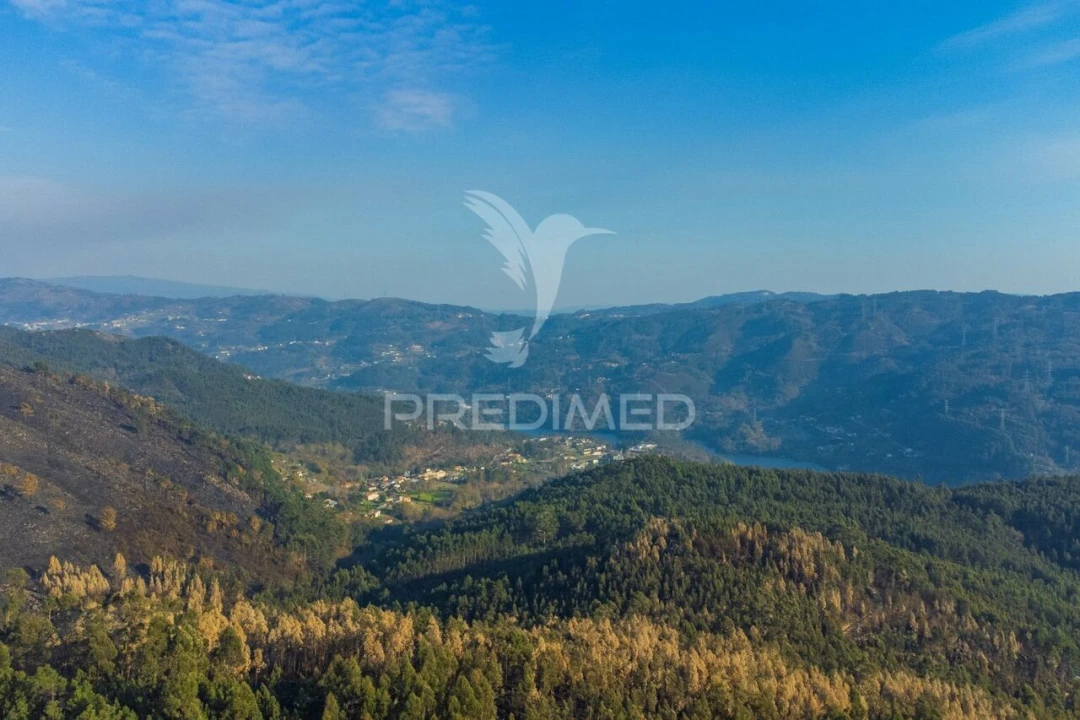 Terreno para Venda em Valdosende Foto 8