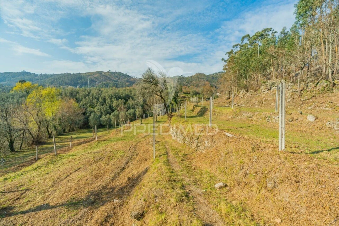 Terreno para Venda em Valdosende Foto 15