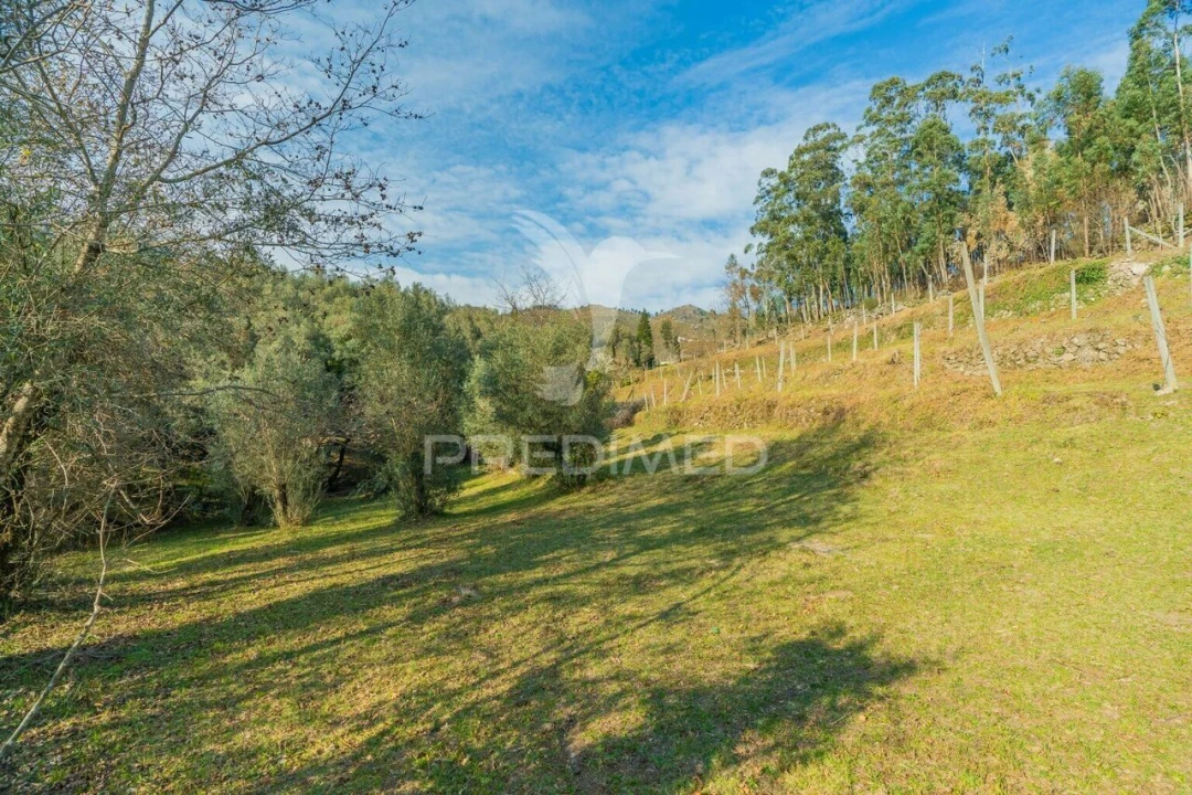 Terreno para Venda em Valdosende Foto 20