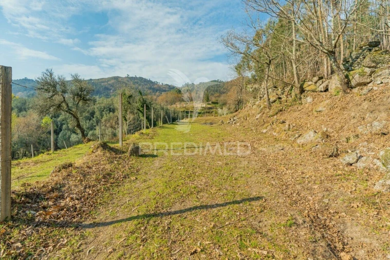 Terreno para Venda em Valdosende Foto 14